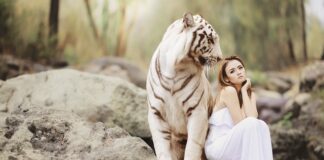 Co to jest ochrona zdrowia?