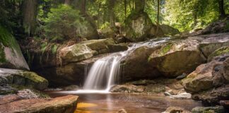 Jak długo możemy zgodnie z zasadami żywić pacjenta pozajelitowo droga żył obwodowych?