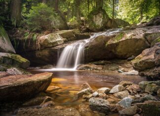 Jak długo możemy zgodnie z zasadami żywić pacjenta pozajelitowo droga żył obwodowych?