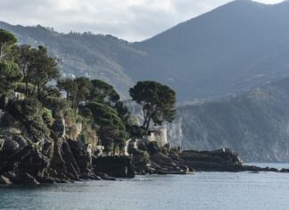 Ile kosztuje jeden gram złota w Dubaju? Ile kosztuje jeden gram złota w Dubaju?