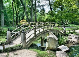 Gdzie kupić japońskie kosmetyki? Gdzie kupić japońskie kosmetyki?