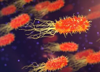 Co się dzieje z organizmem jak się nie je?