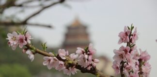 Co jeść aby dłużej żyć udowodnione naukowo sekrety długowieczności?