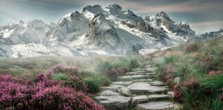 Czy można łączyć klatkę z bicepsem?