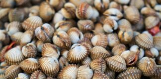 Co zaostrza łuszczycę?