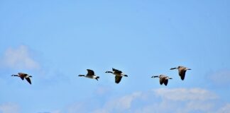 Co kształtuje system wartości człowieka?