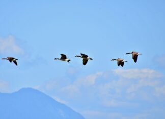 Co kształtuje system wartości człowieka? Co kształtuje system wartości człowieka?
