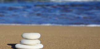 Co to jest skala SGA?