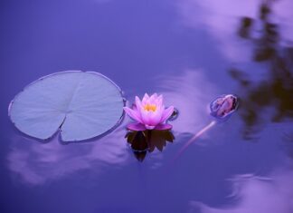 Co daje świecą w jodze? Co daje świecą w jodze?