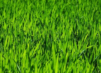 Co po kolei w pielęgnacji twarzy? Co po kolei w pielęgnacji twarzy?