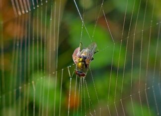 Czy można wisieć głową w dół? Czy można wisieć głową w dół?