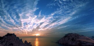 Co warto kupić w Korei Południowej?