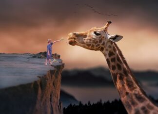 Co robić by żyć zdrowo? Co robić by żyć zdrowo?