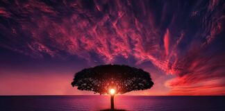 Czy Słońce pomaga w leczeniu łuszczycy?