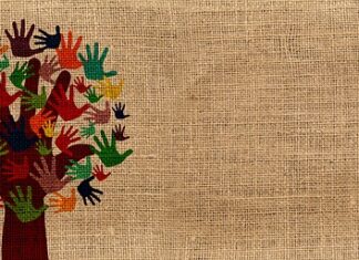 Co jeść aby zachować zdrowe serce?