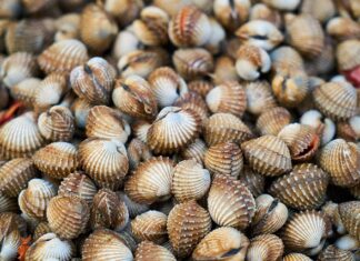 Kiedy łuszczycą się nasila? Kiedy łuszczycą się nasila?