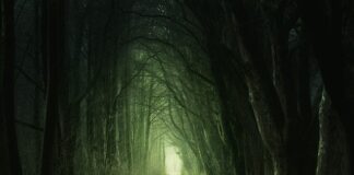 Co to jest przejście w tył?