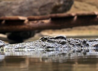 Jakie człowiek może mieć zasady? Jakie człowiek może mieć zasady?