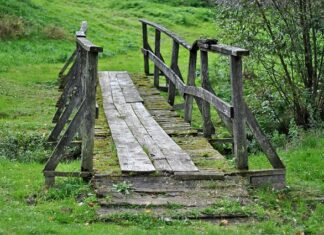 Czy mostek jest zdrowy? Czy mostek jest zdrowy?