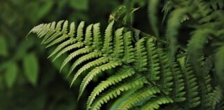 Jakie są trzy najważniejsze rzeczy w życiu?