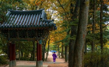 Jak wygląda koreańska pielęgnacja? Jak wygląda koreańska pielęgnacja?