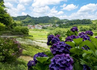 Co to są za ćwiczenia Tabata? Co to są za ćwiczenia Tabata?