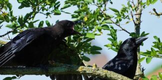 Jak się podciągnąć na drążku?