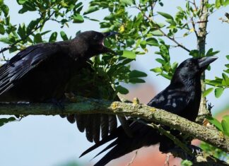 Jak się podciągnąć na drążku? Jak się podciągnąć na drążku?