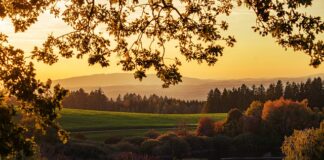 Czy można opalać się w solarium bez stanika?