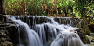 Czym Koreanki smarują twarz?