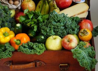 Jakie są wskazania do leczenia żywieniowego?