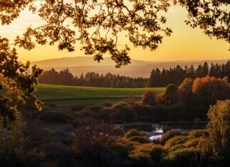 Czy można opalać się przez szybę? Czy można opalać się przez szybę?