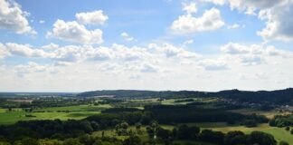 Jak zmusić się do życia?