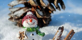 Czy czapka to okrycie wierzchnie?