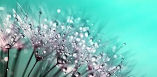 Czy kropelka nadaje się do klejenia butów?