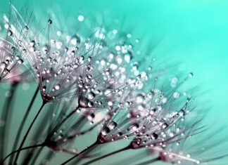 Czy kropelka nadaje się do klejenia butów?