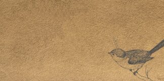 Jak Podwinąć mankiet?