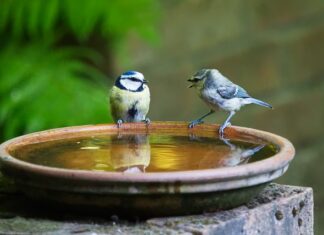 Dlaczego nie mówi się w dniu dzisiejszym?