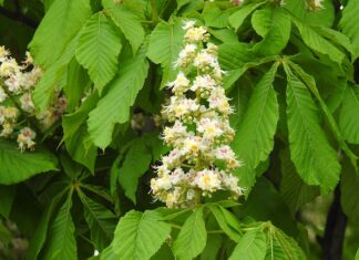 Czego się życzy przed maturą? Czego się życzy przed maturą?
