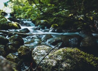 Co to jest Piter? Co to jest Piter?