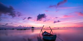 Jaki kolor płaszcza do garnituru?