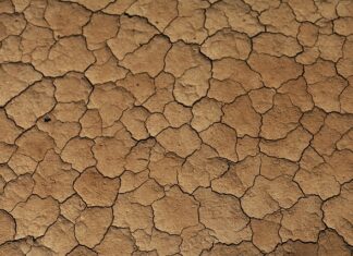 Z czym nosić beżowy płaszcz?