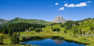 Co dać w podziękowaniu gościom weselnym?