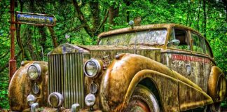 Jakie są marki portfeli?